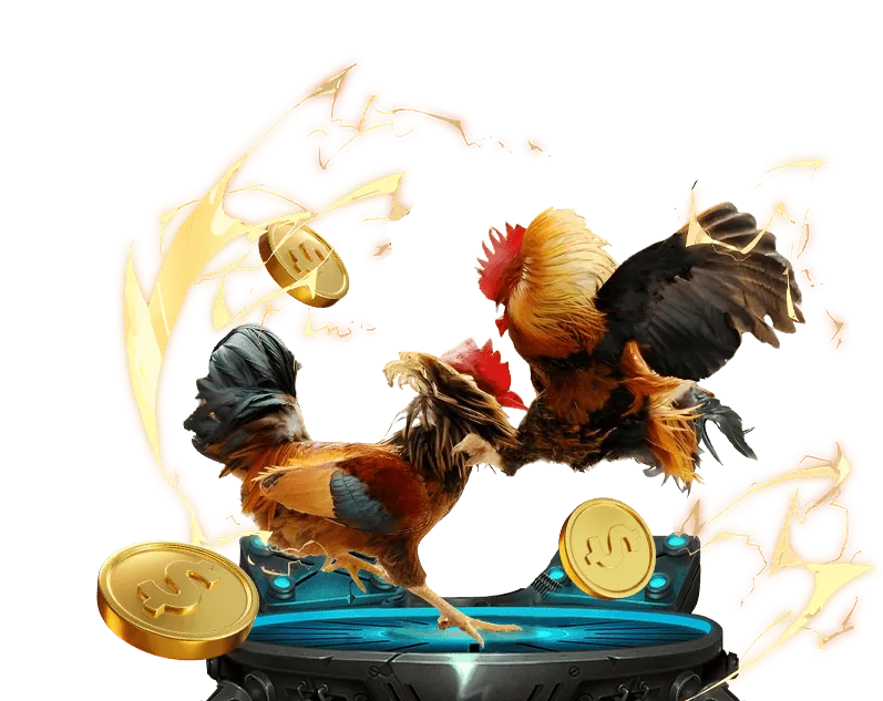 Chiến lược đá gà 8us Game